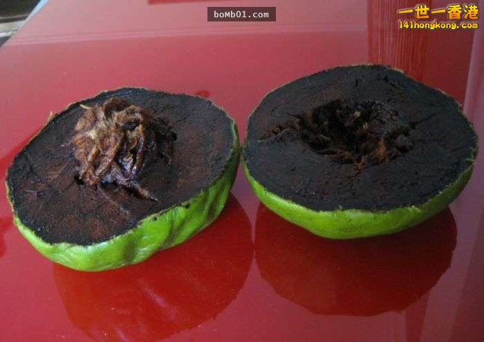 ▼17. 黑柿，又名巧克力布丁果（Black Sapote,Chocolate Pudding）.jpg