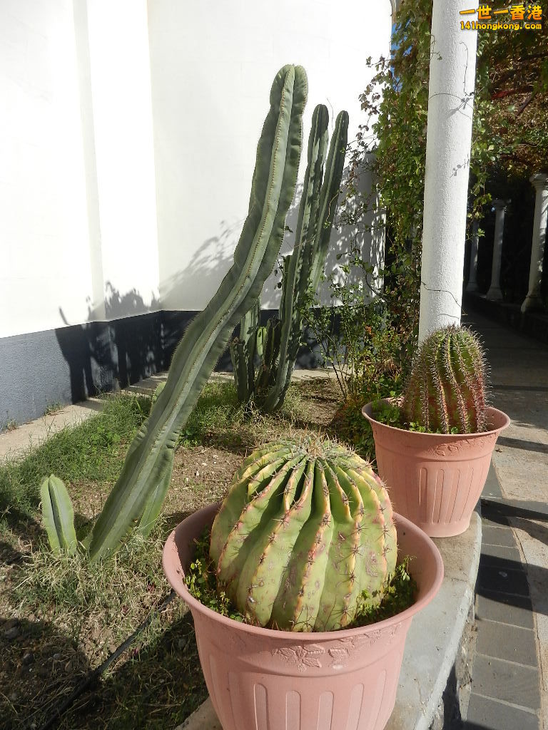 DSCN5673.JPG