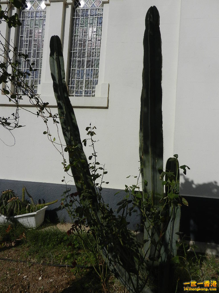 DSCN5678.JPG