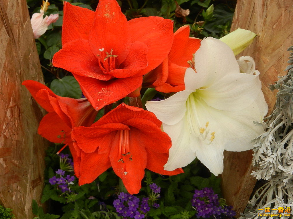 DSCN4753.JPG