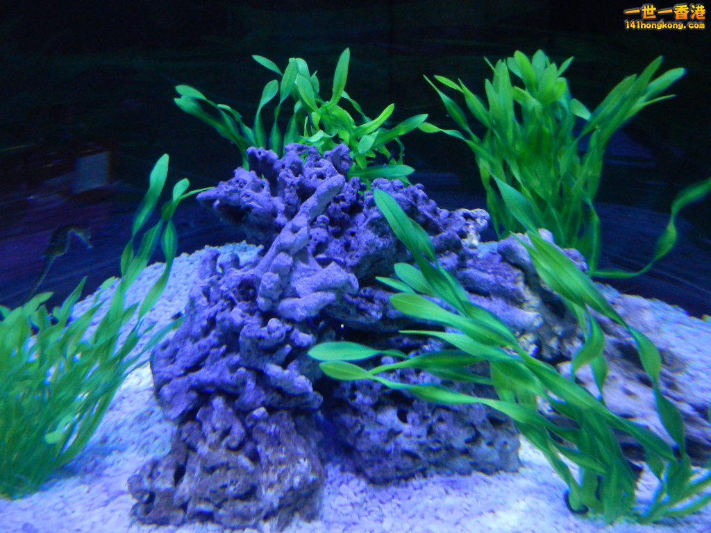 DSCN3760.JPG