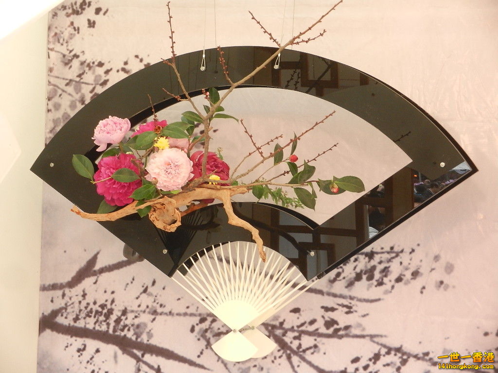 DSCN8610.JPG