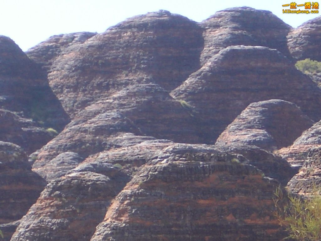 050527 178.JPG