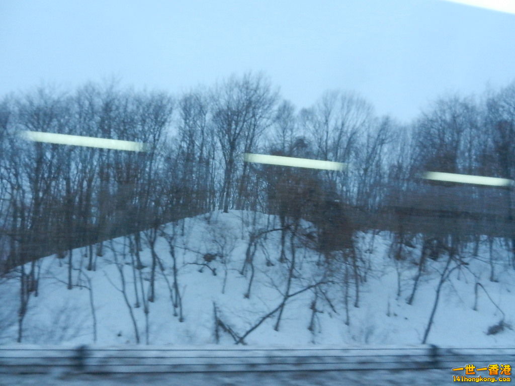 DSCN4156.JPG