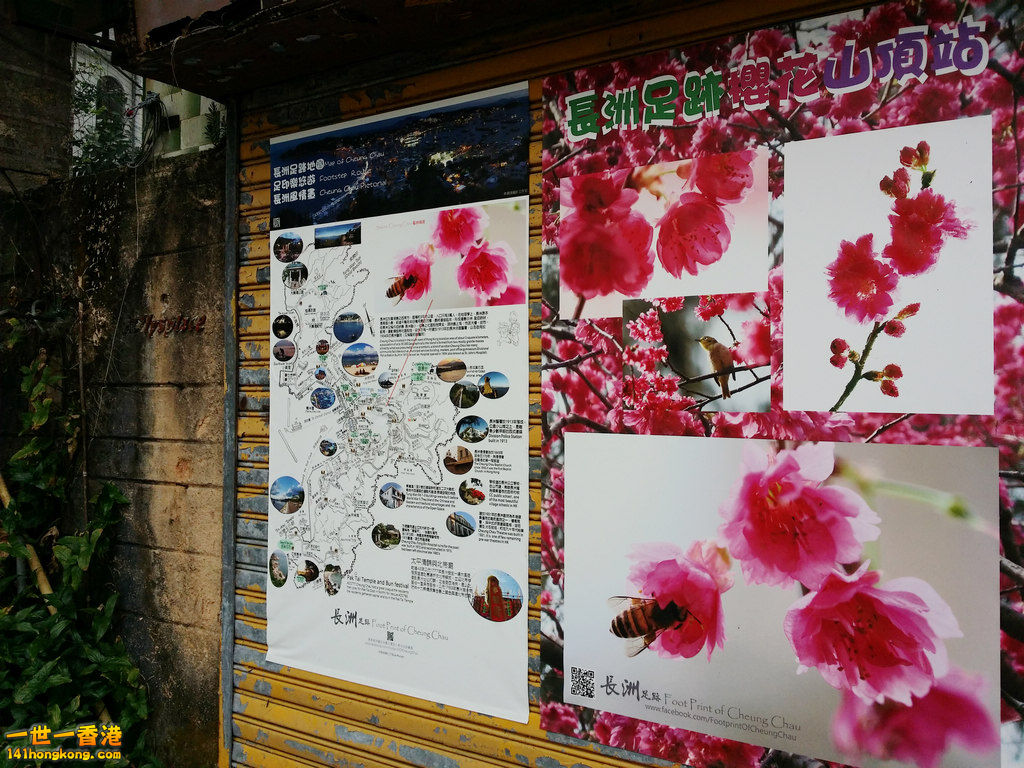 20150316_112829.jpg
