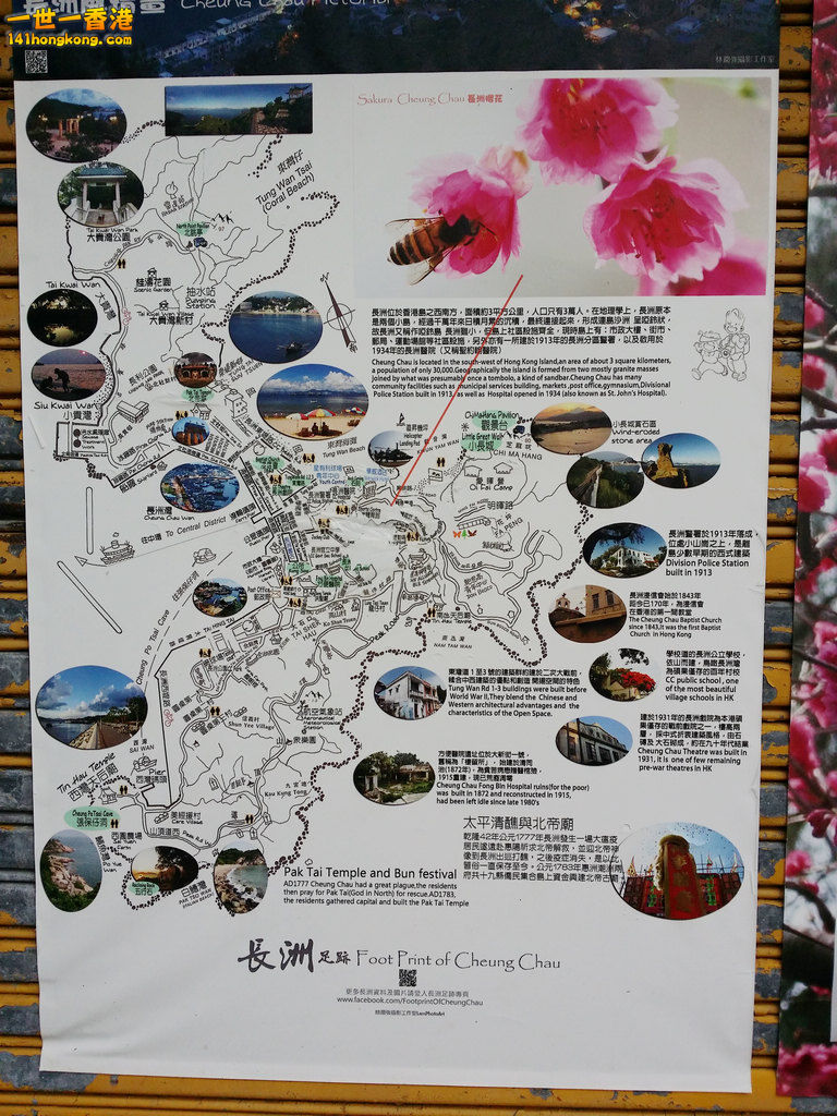 20150316_112910.jpg