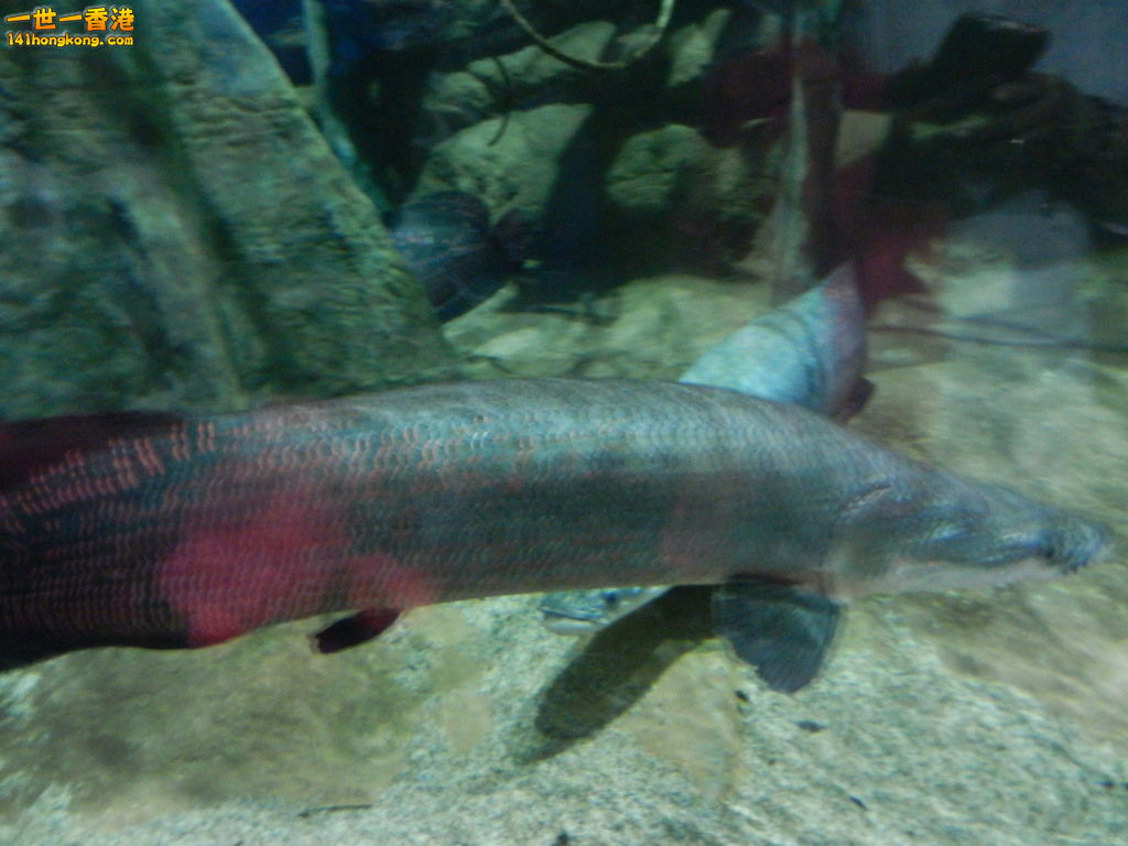DSCN3792.JPG