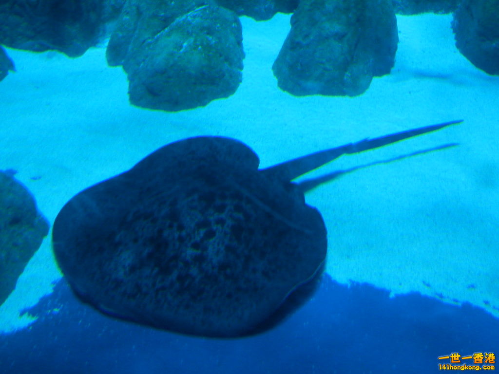 DSCN3774.JPG