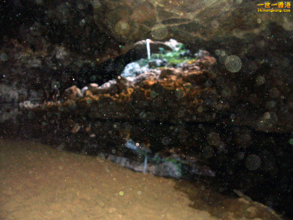 050527 075.JPG