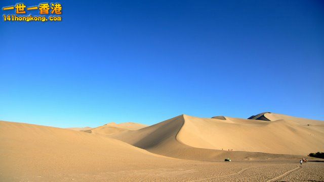 DSC_7820.JPG