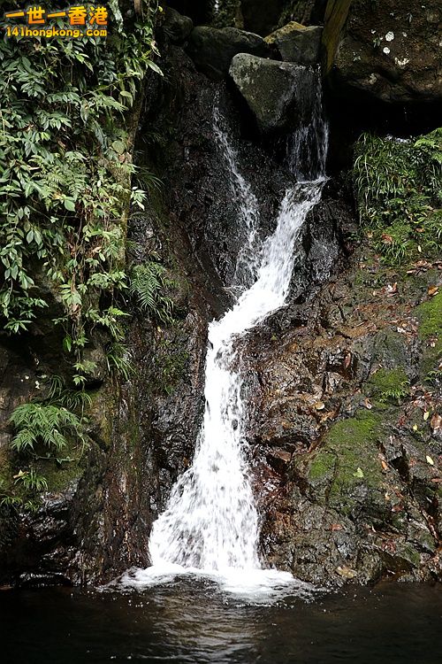 3P1A8681.JPG