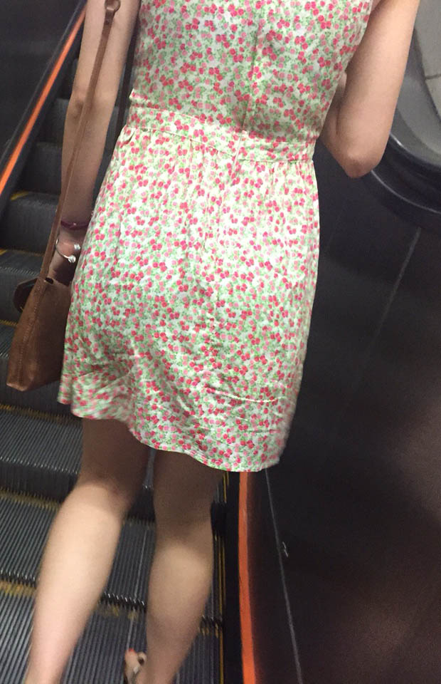 照片 10310.JPG