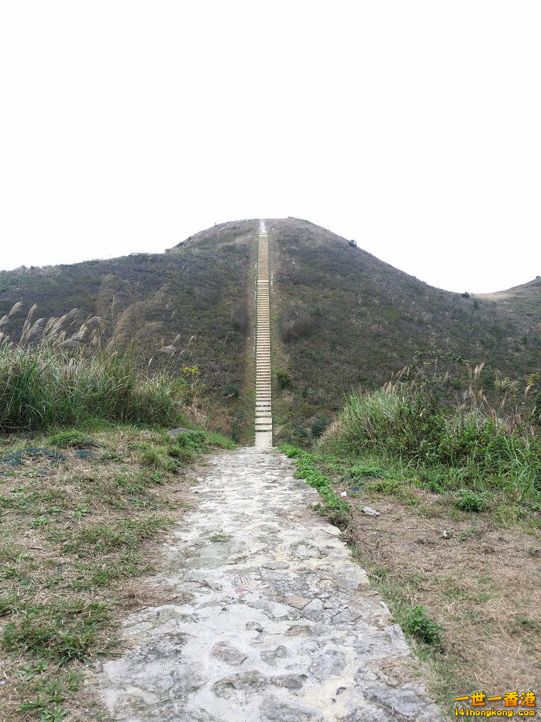 20150222_120251.jpg