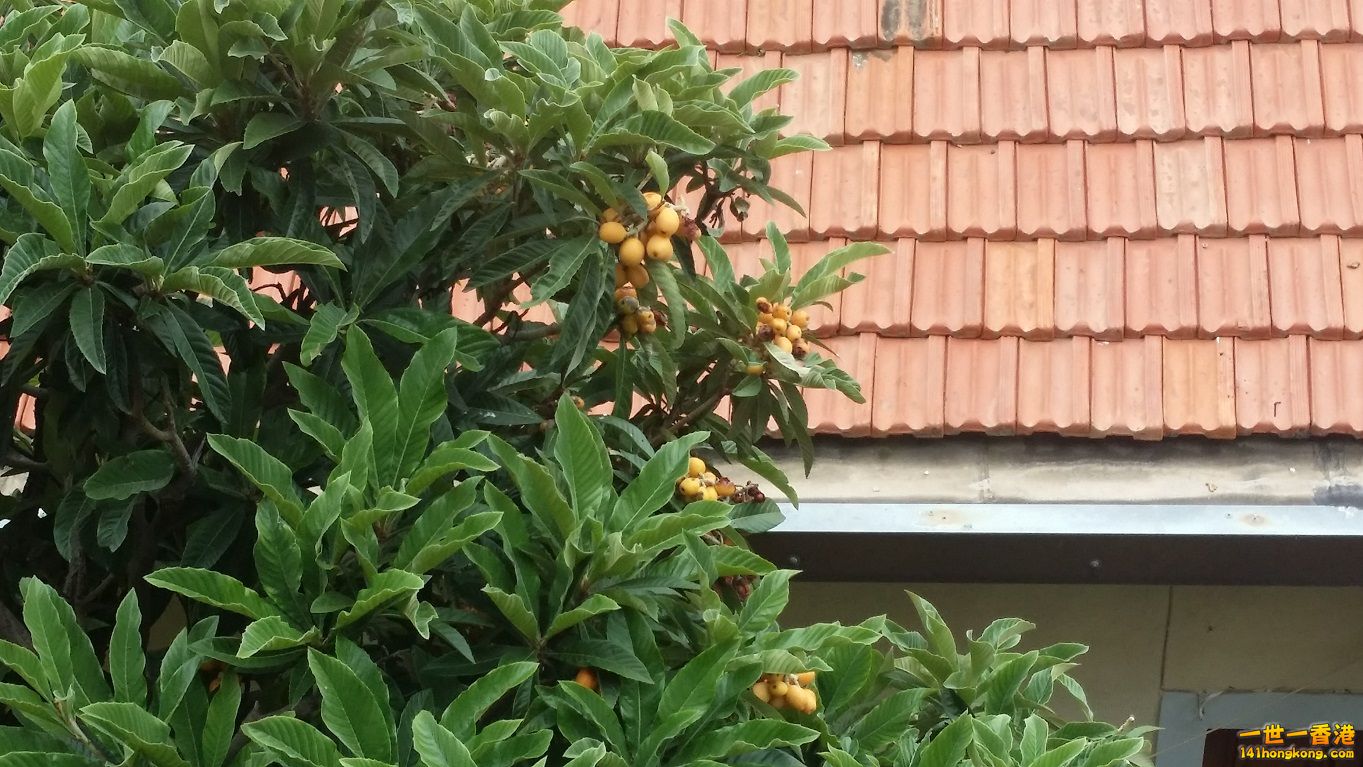 20150522_094651.jpg
