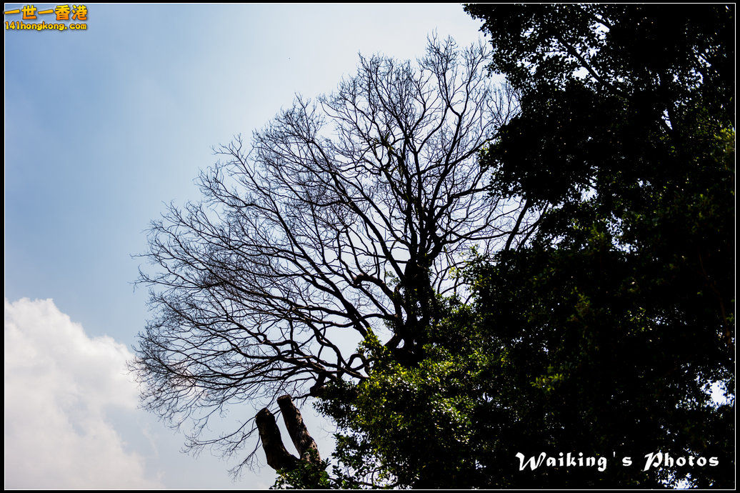20150719 Outing 0007.jpg
