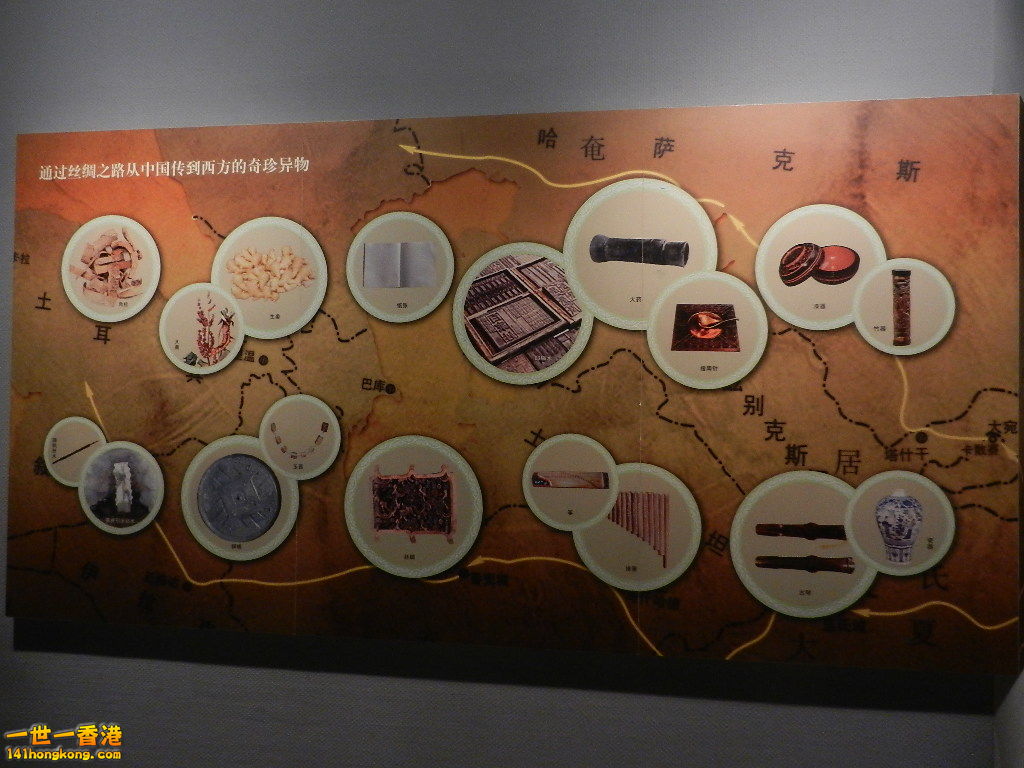 DSCN7278.JPG