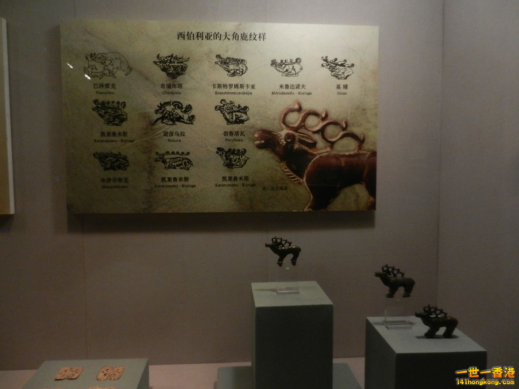 DSCN7285.JPG