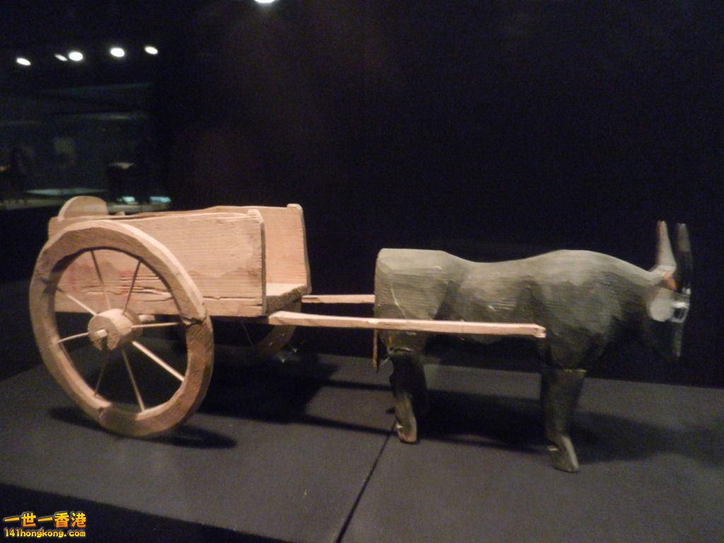 DSCN7290.JPG