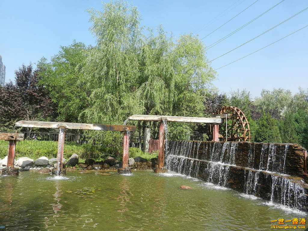 DSCN7218.JPG