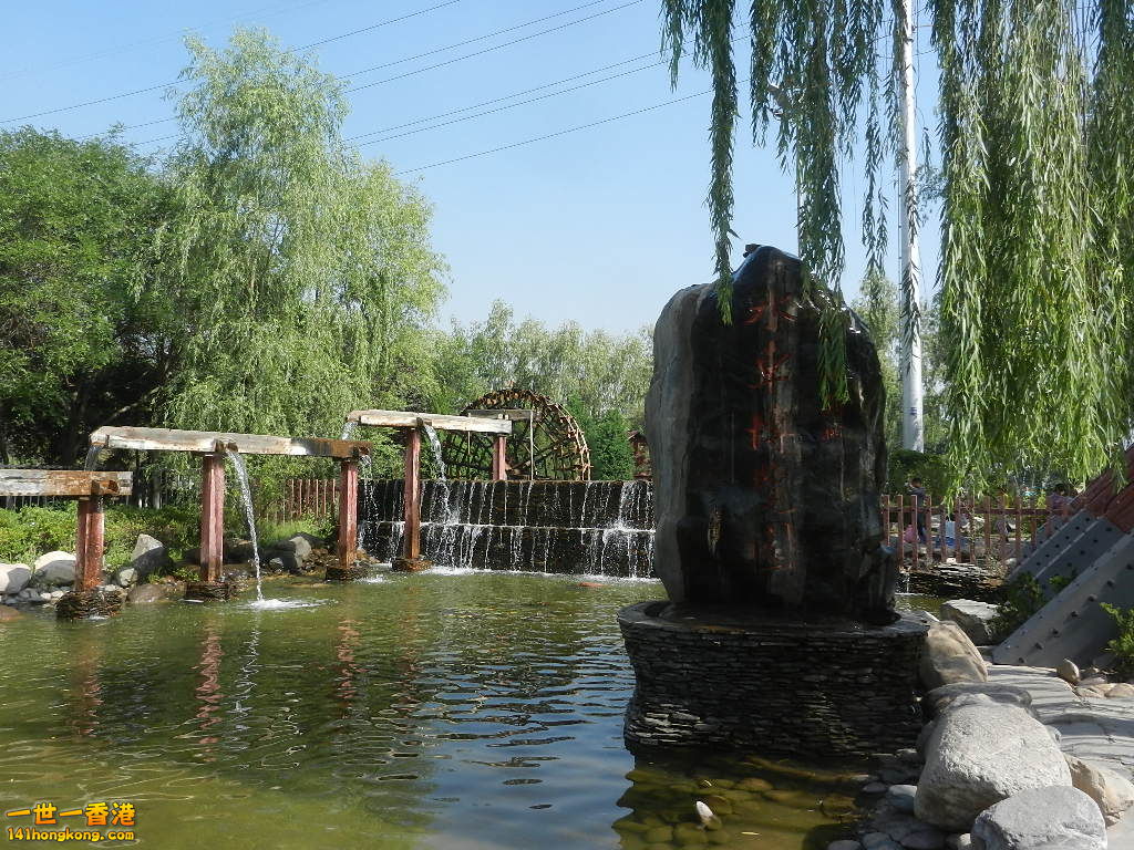 DSCN7217.JPG