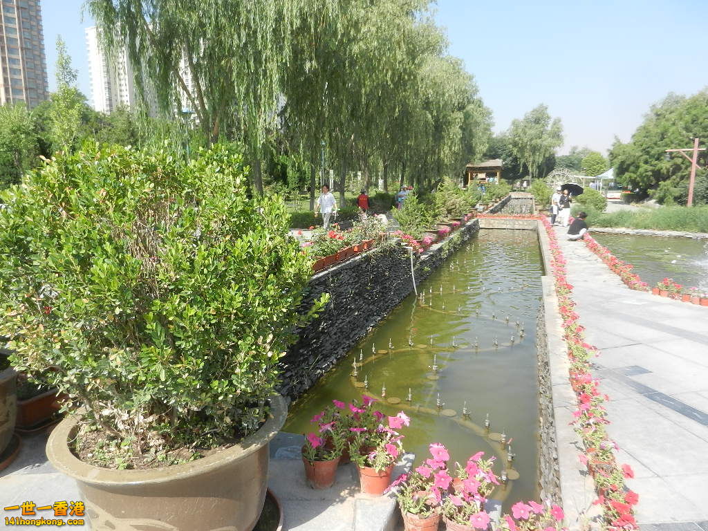 DSCN7222.JPG