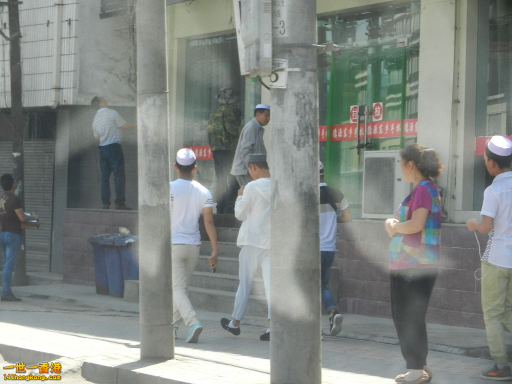 DSCN7246.JPG