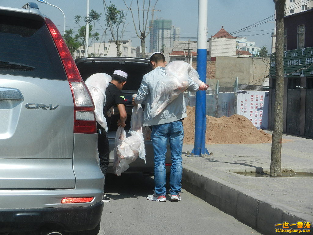 DSCN7239.JPG