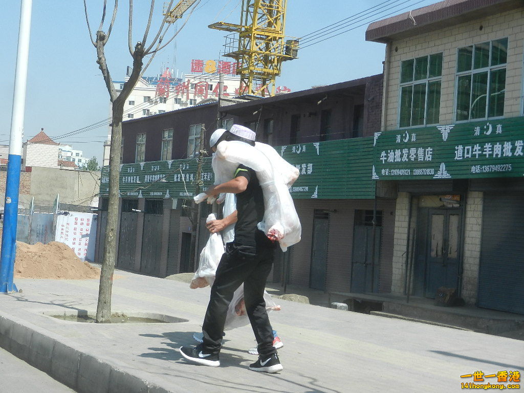DSCN7238.JPG