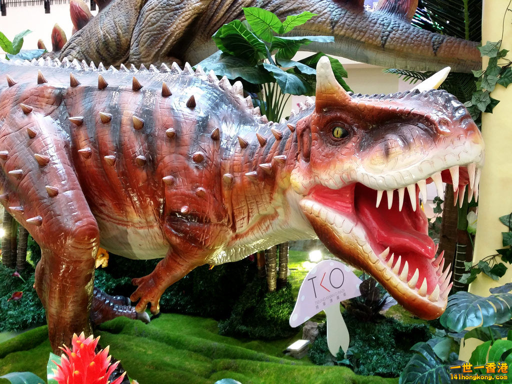 20150712_150559.jpg