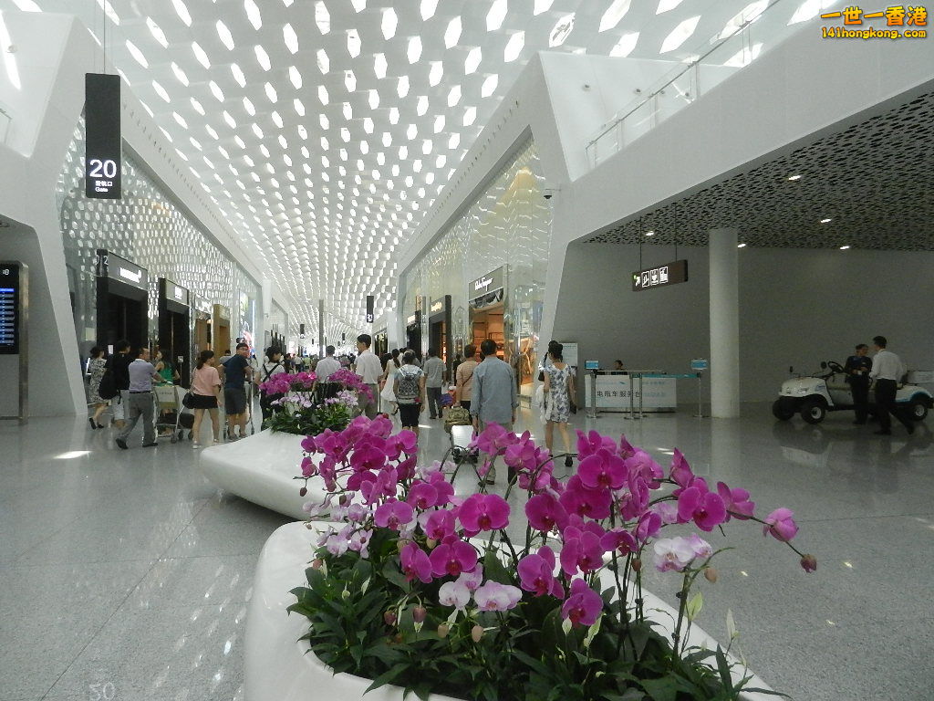 DSCN7153.JPG