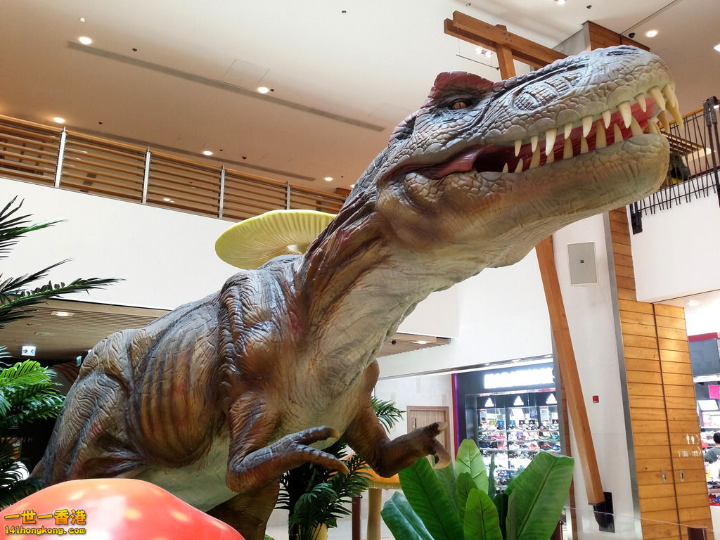20150712_150535.jpg