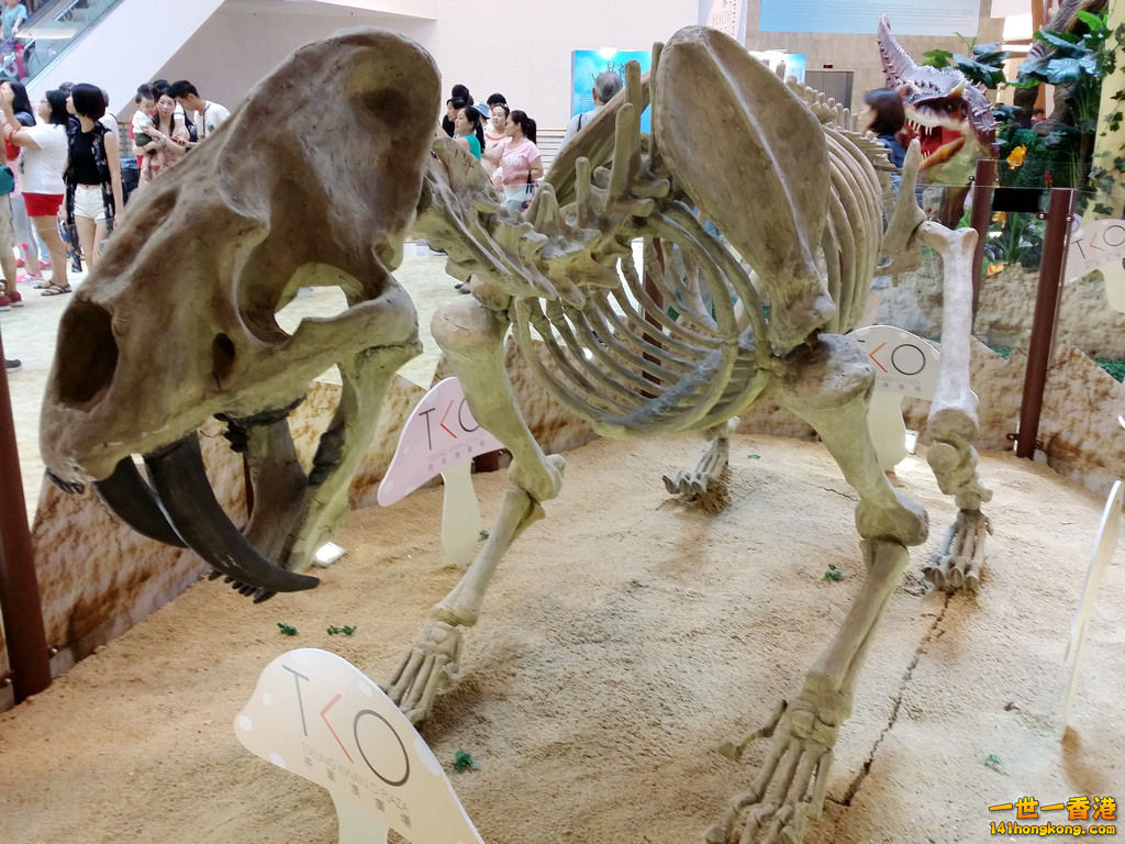 20150712_150648.jpg