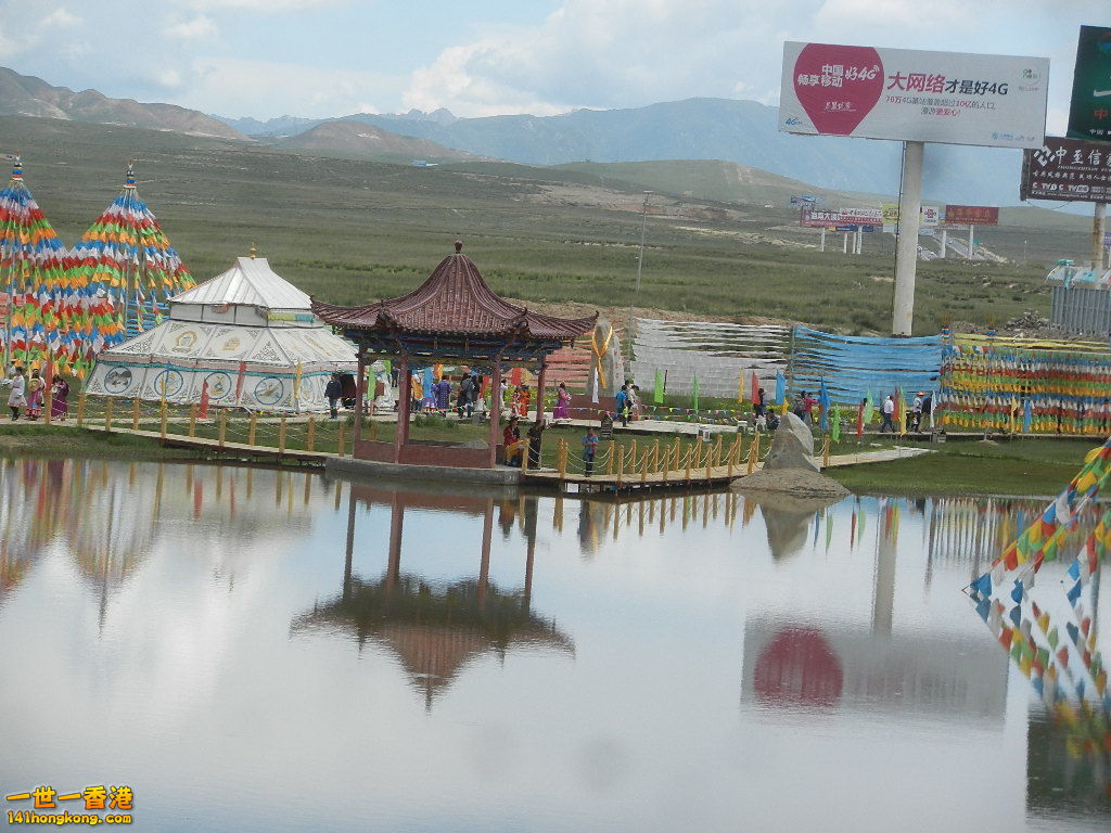 DSCN7816.JPG