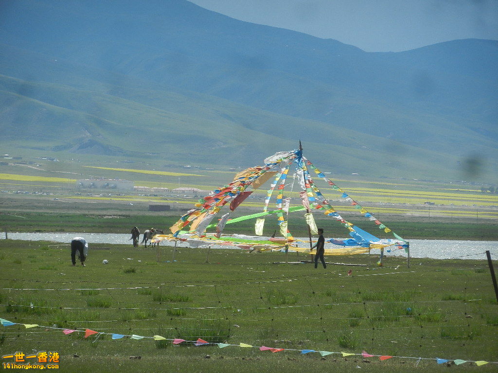 DSCN8086.JPG