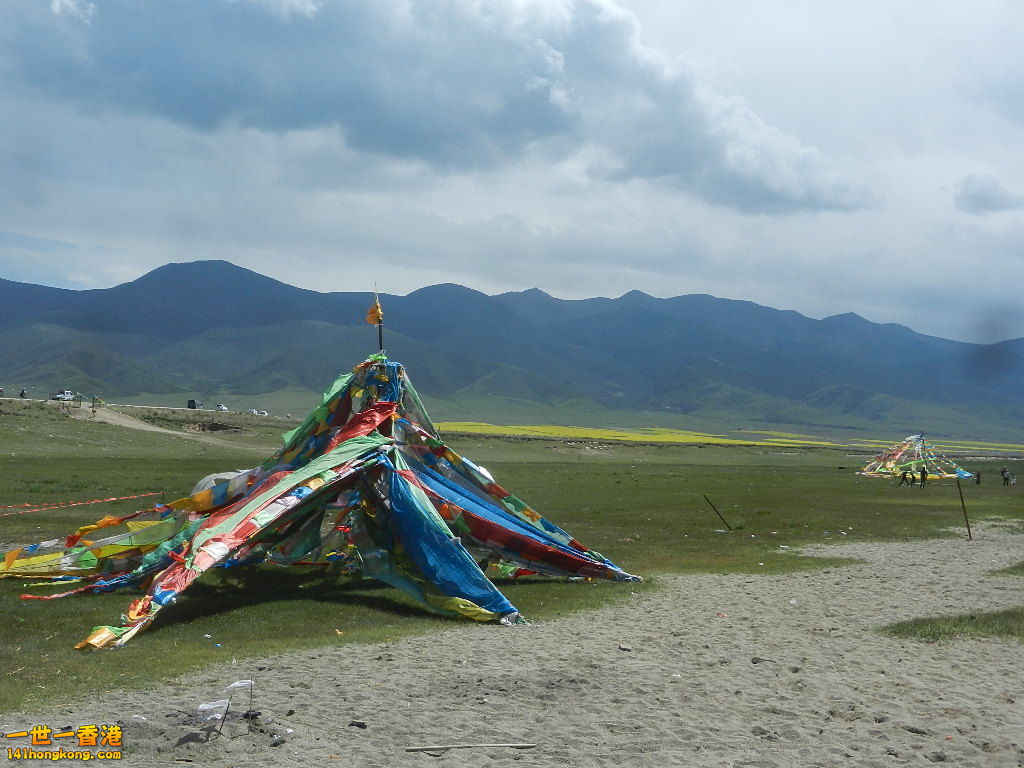 DSCN8088.JPG