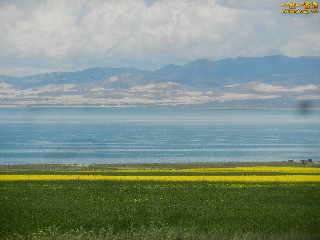 DSCN7953.JPG
