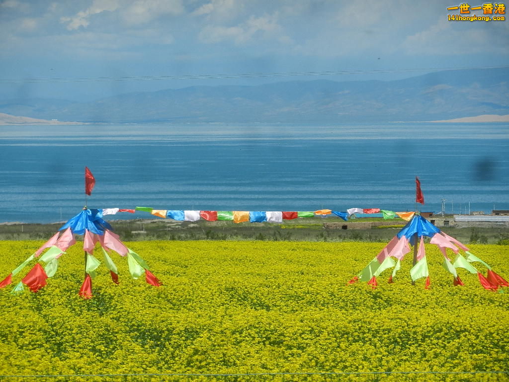 DSCN7958.JPG