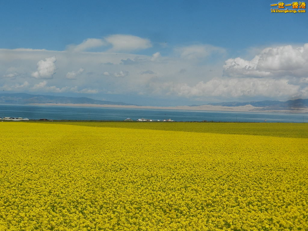 DSCN7983.JPG