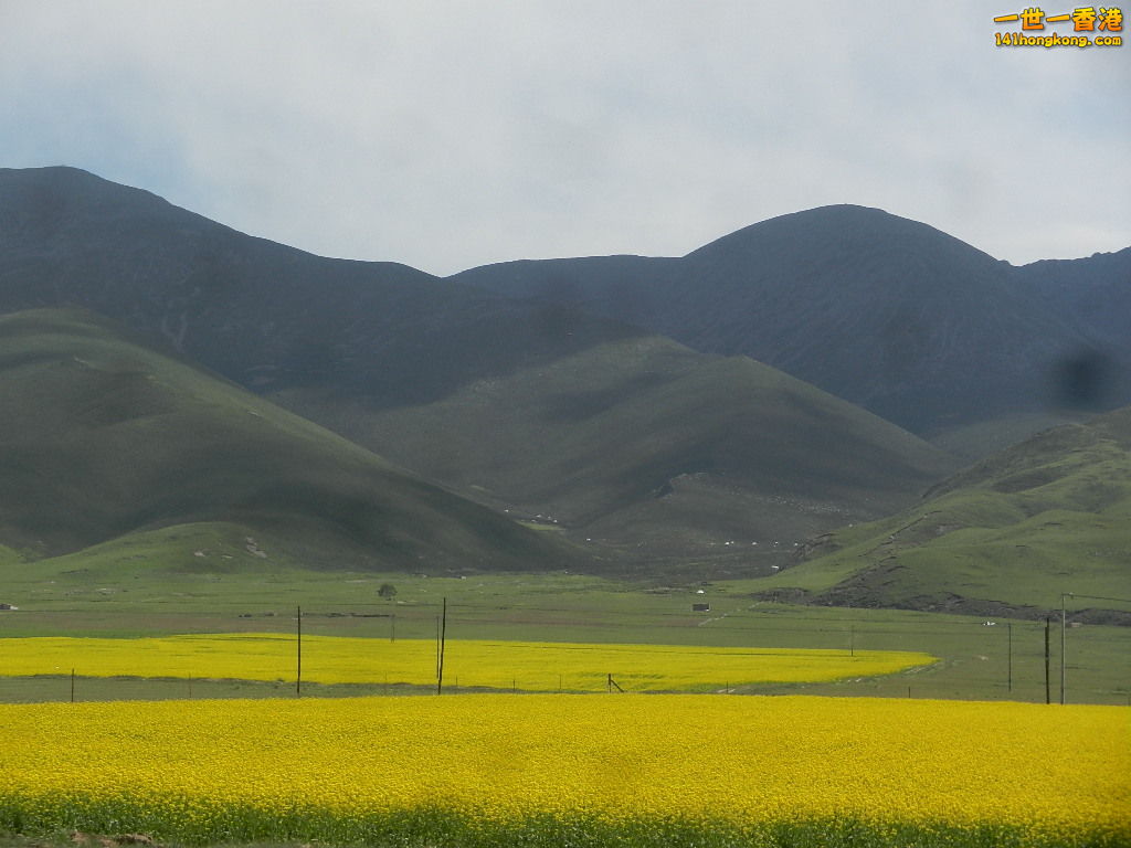 DSCN8075.JPG