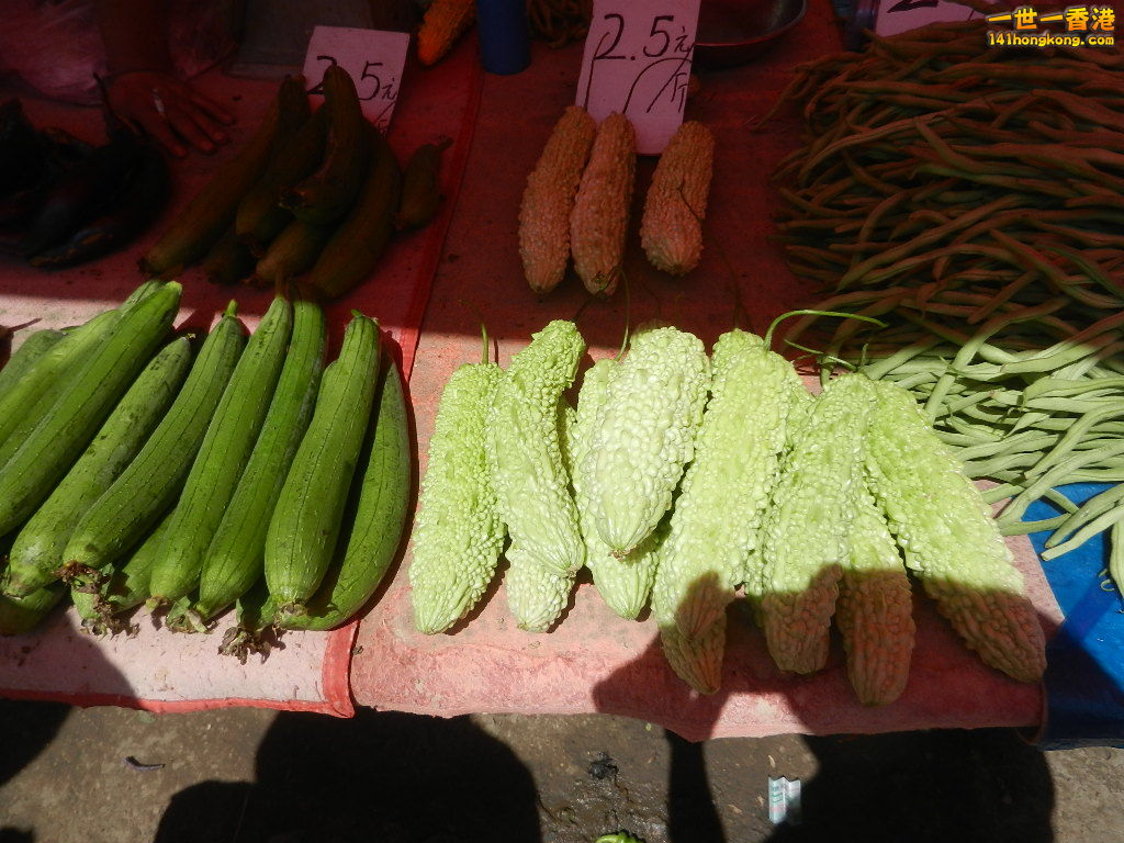 DSCN7259.JPG
