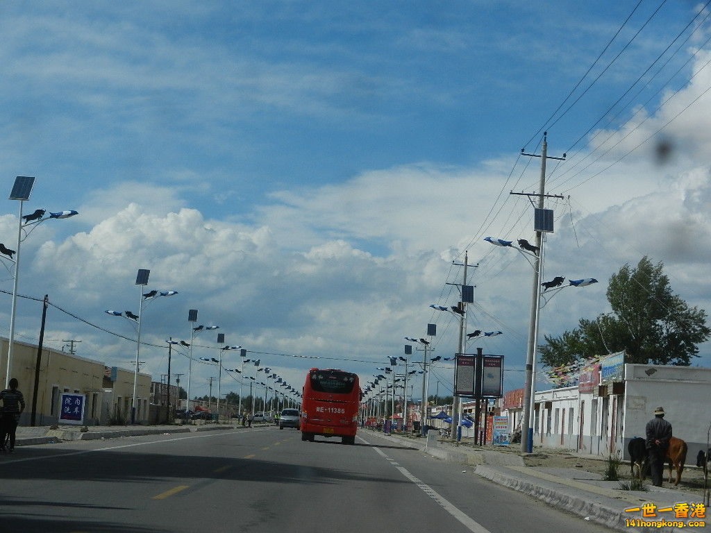 DSCN8115.JPG