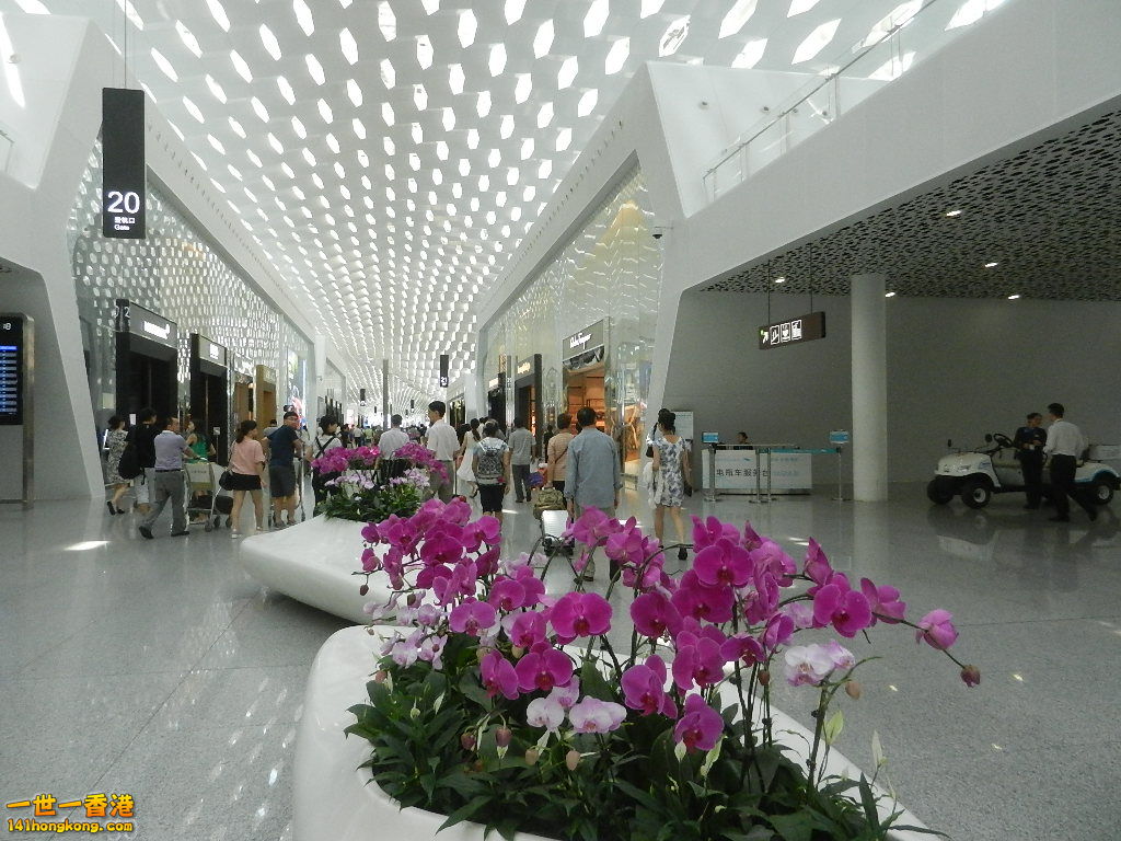 DSCN7153.JPG