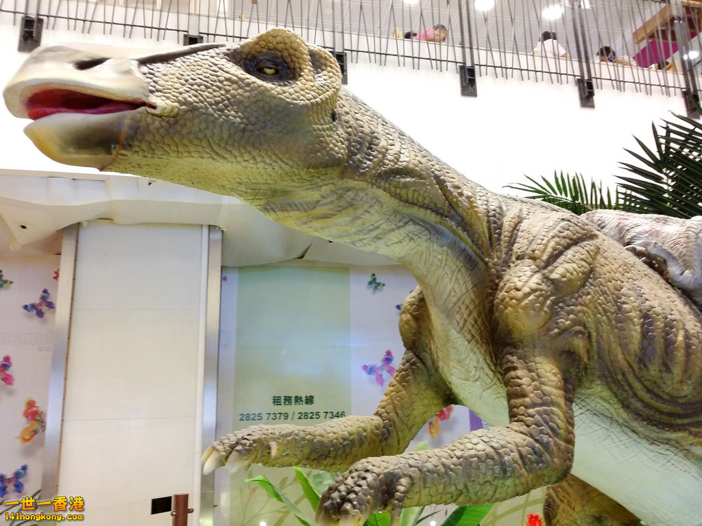 20150712_150856.jpg