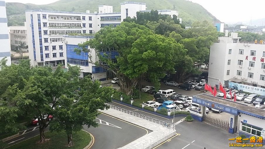 20150709_121200.jpg