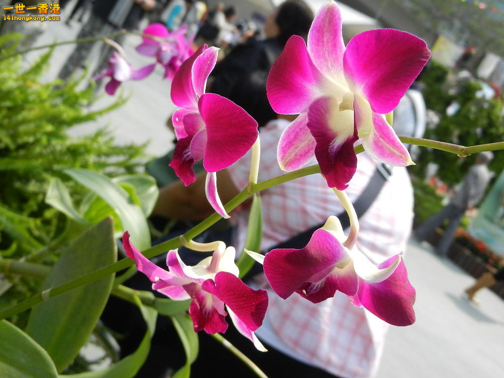 DSCN3849.JPG