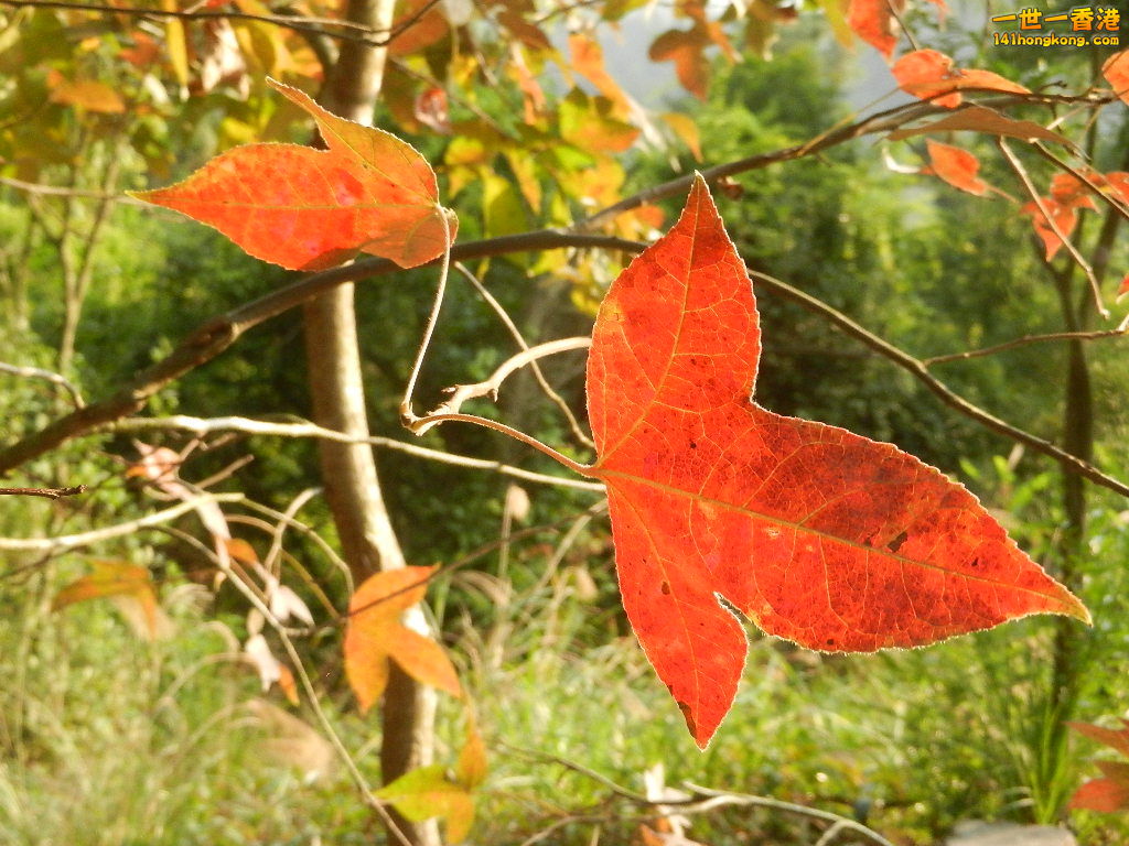 DSCN3595.JPG