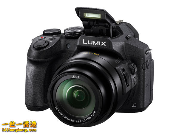 Panasonic Lumix DMC-FZ300.jpg