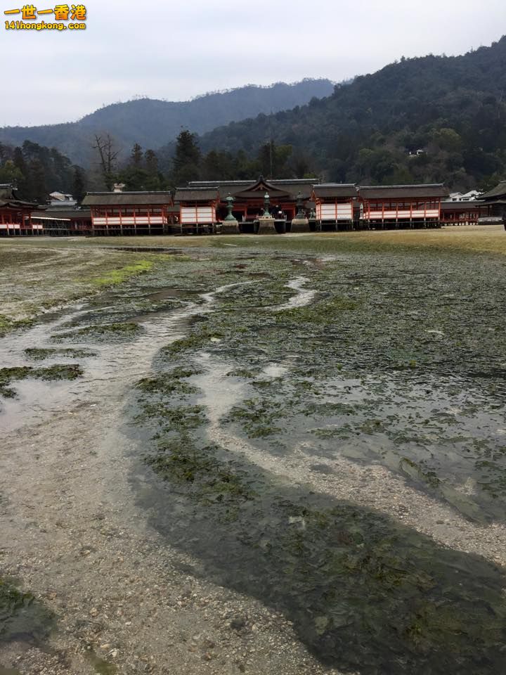 厳島神社2.jpg