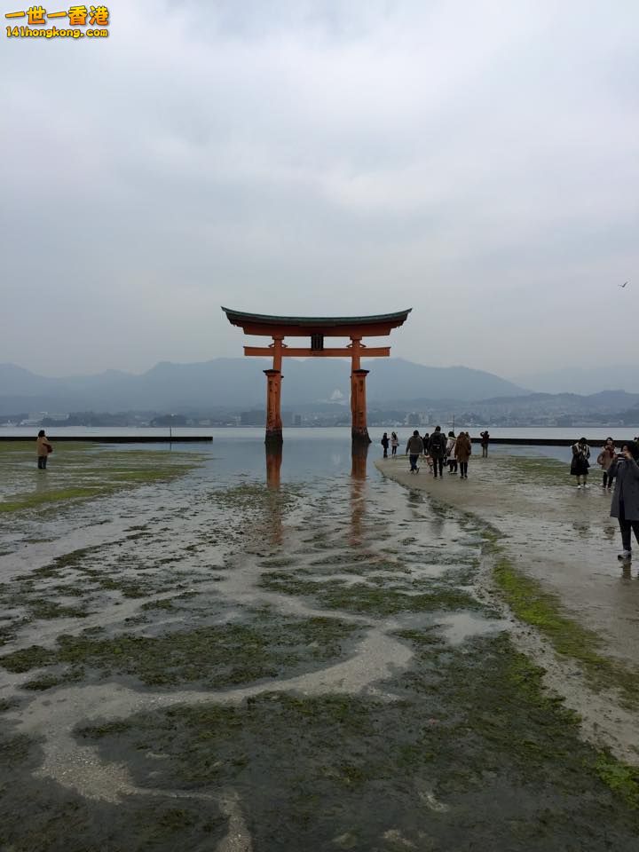 厳島神社.jpg