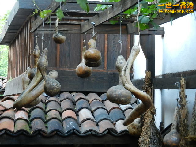DSCN1504.JPG